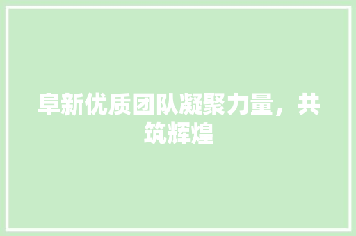 阜新优质团队凝聚力量，共筑辉煌