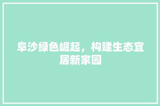 阜沙绿色崛起，构建生态宜居新家园