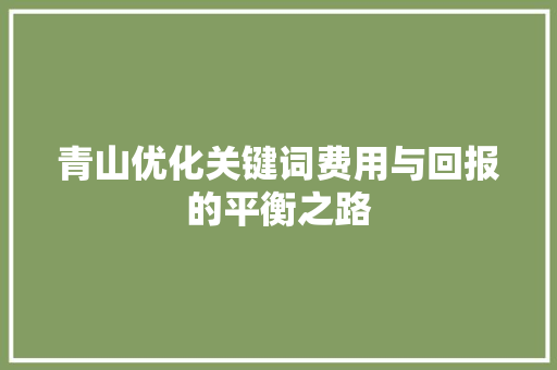 青山优化关键词费用与回报的平衡之路