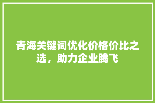 青海关键词优化价格价比之选，助力企业腾飞