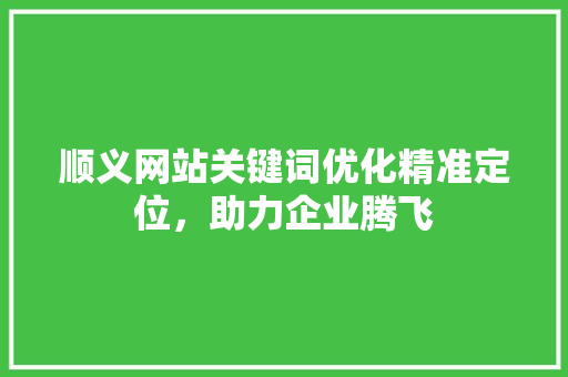 顺义网站关键词优化精准定位，助力企业腾飞