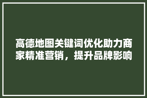 高德地图关键词优化助力商家精准营销，提升品牌影响力