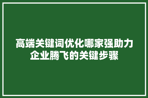 高端关键词优化哪家强助力企业腾飞的关键步骤