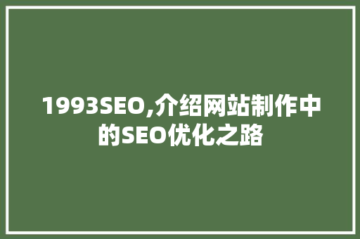 1993SEO,介绍网站制作中的SEO优化之路