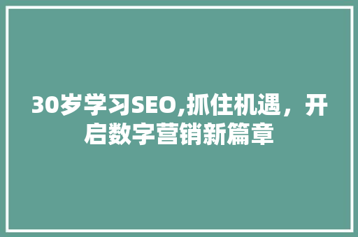 30岁学习SEO,抓住机遇，开启数字营销新篇章