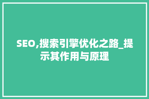 SEO,搜索引擎优化之路_提示其作用与原理 SEO,搜索引擎优化之路_提示其作用与原理