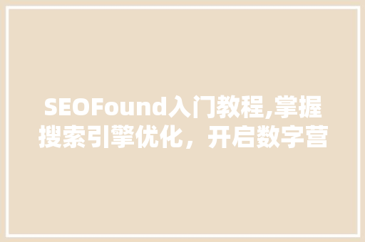 SEOFound入门教程,掌握搜索引擎优化，开启数字营销新篇章