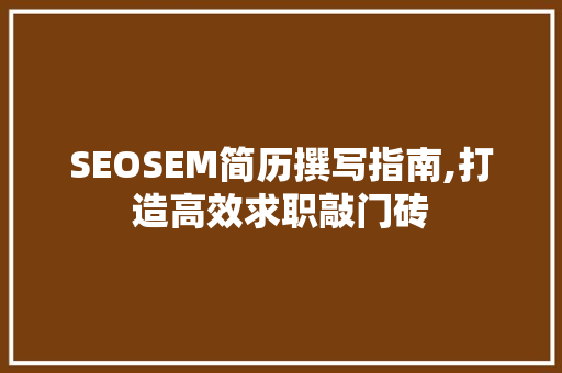 SEOSEM简历撰写指南,打造高效求职敲门砖