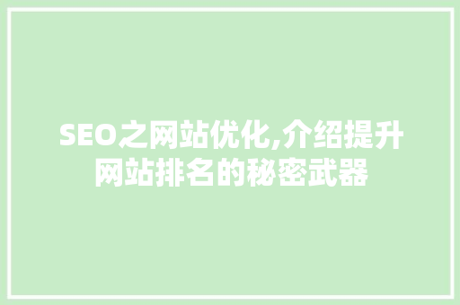 SEO之网站优化,介绍提升网站排名的秘密武器