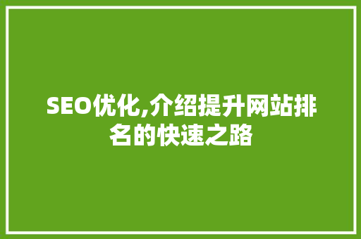 SEO优化,介绍提升网站排名的快速之路