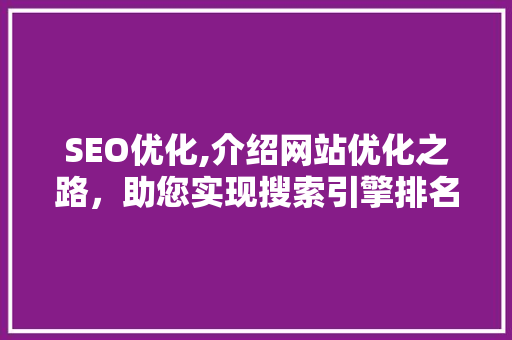 SEO优化,介绍网站优化之路，助您实现搜索引擎排名飞跃