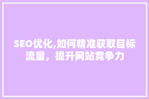 SEO优化,如何精准获取目标流量，提升网站竞争力