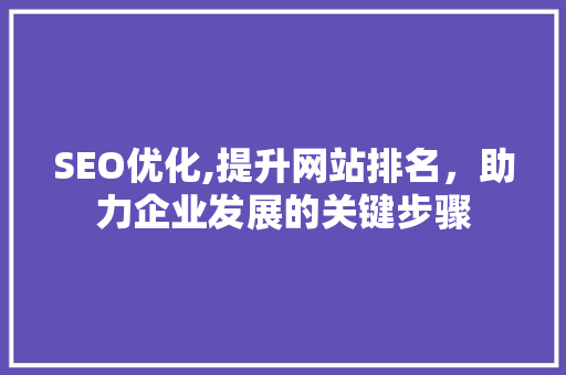 SEO优化,提升网站排名，助力企业发展的关键步骤 编程语言