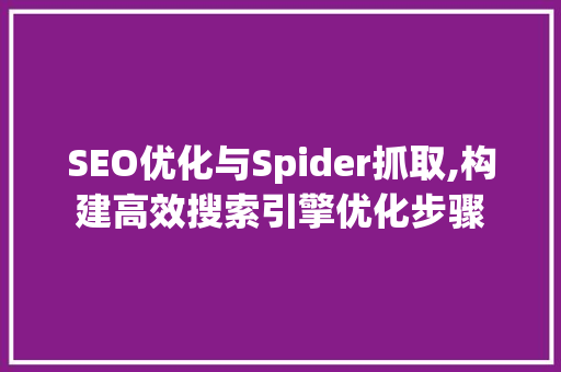 SEO优化与Spider抓取,构建高效搜索引擎优化步骤