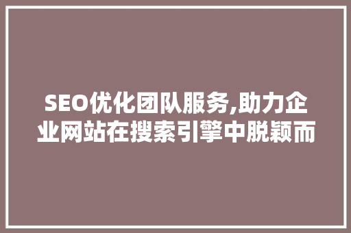 SEO优化团队服务,助力企业网站在搜索引擎中脱颖而出