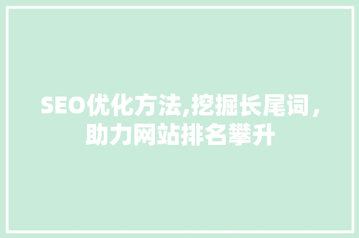 SEO优化方法,挖掘长尾词，助力网站排名攀升 电脑基础