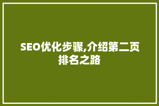 SEO优化步骤,介绍第二页排名之路 电脑基础