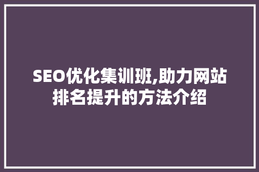 SEO优化集训班,助力网站排名提升的方法介绍