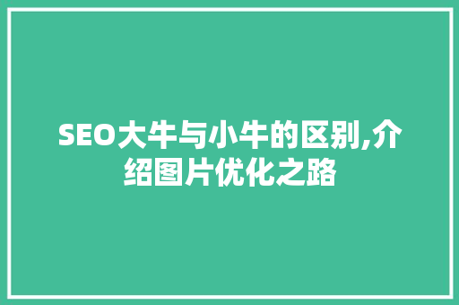 SEO大牛与小牛的区别,介绍图片优化之路