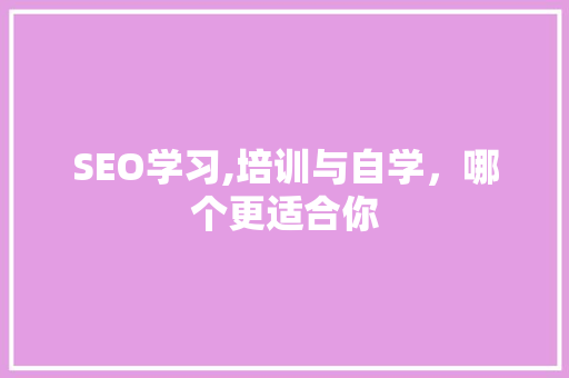 SEO学习,培训与自学，哪个更适合你