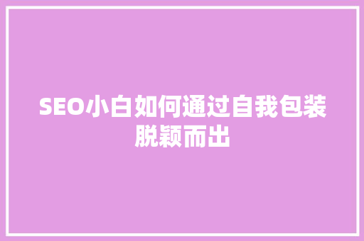 SEO小白如何通过自我包装脱颖而出