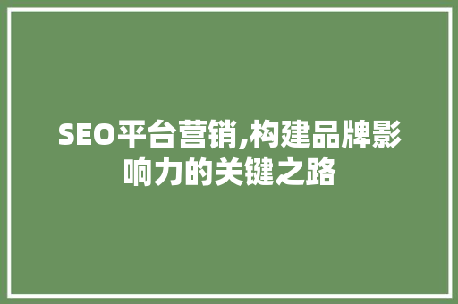 SEO平台营销,构建品牌影响力的关键之路