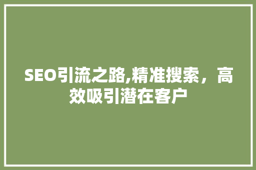 SEO引流之路,精准搜索，高效吸引潜在客户