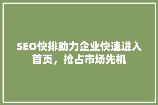 SEO快排助力企业快速进入首页，抢占市场先机