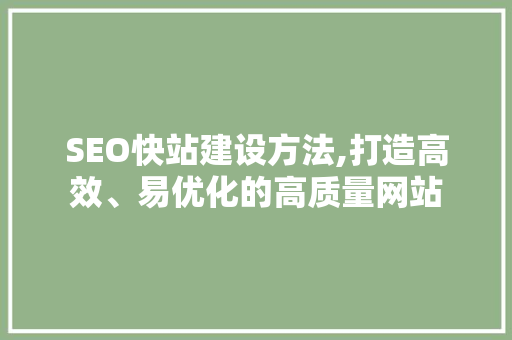 SEO快站建设方法,打造高效、易优化的高质量网站