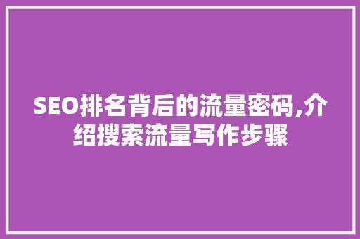 SEO排名背后的流量密码,介绍搜索流量写作步骤