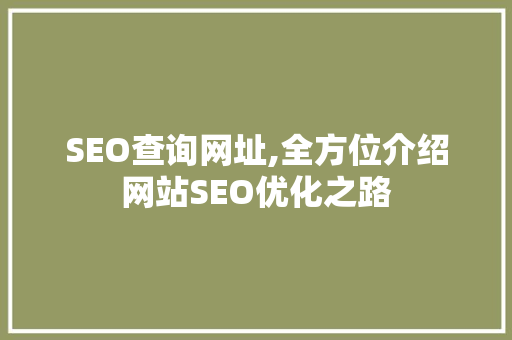 SEO查询网址,全方位介绍网站SEO优化之路 SEO查询网址,全方位介绍网站SEO优化之路