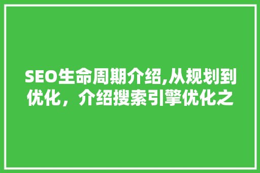 SEO生命周期介绍,从规划到优化，介绍搜索引擎优化之路