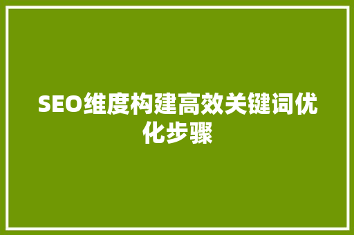 SEO维度构建高效关键词优化步骤 网络技术 SEO维度构建高效关键词优化步骤 网络技术