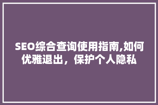 SEO综合查询使用指南,如何优雅退出，保护个人隐私