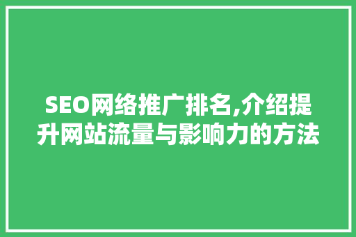 SEO网络推广排名,介绍提升网站流量与影响力的方法