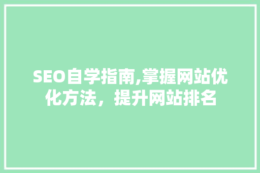 SEO自学指南,掌握网站优化方法，提升网站排名