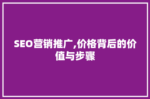 SEO营销推广,价格背后的价值与步骤