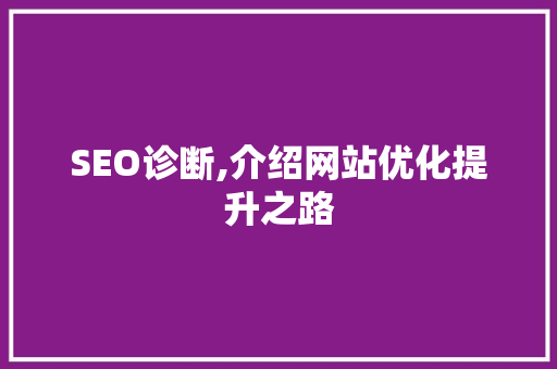 SEO诊断,介绍网站优化提升之路