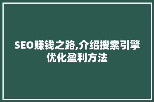 SEO赚钱之路,介绍搜索引擎优化盈利方法