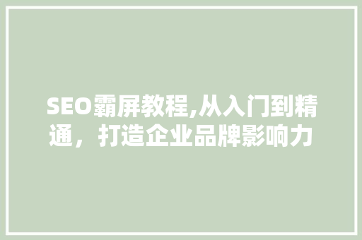 SEO霸屏教程,从入门到精通，打造企业品牌影响力