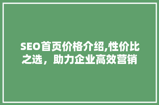 SEO首页价格介绍,性价比之选，助力企业高效营销
