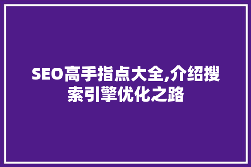 SEO高手指点大全,介绍搜索引擎优化之路