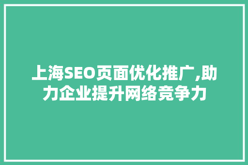 上海SEO页面优化推广,助力企业提升网络竞争力
