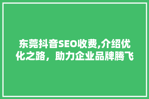 东莞抖音SEO收费,介绍优化之路，助力企业品牌腾飞