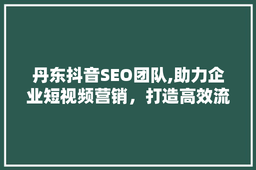 丹东抖音SEO团队,助力企业短视频营销，打造高效流量池