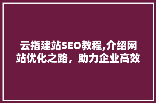 云指建站SEO教程,介绍网站优化之路，助力企业高效提升网络曝光