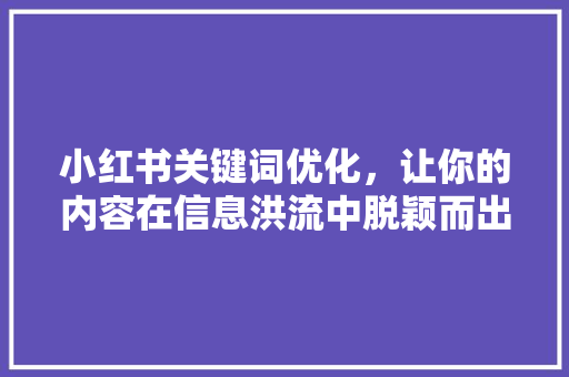 小红书关键词优化，让你的内容在信息洪流中脱颖而出