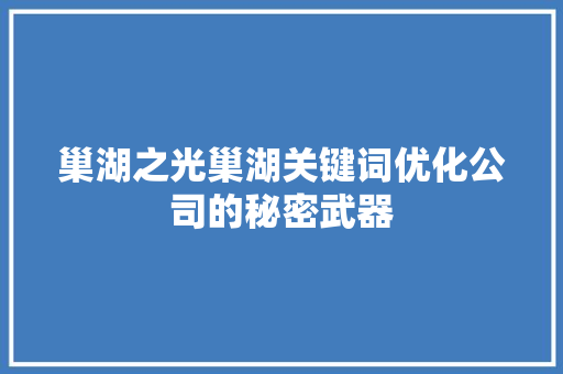 巢湖之光巢湖关键词优化公司的秘密武器