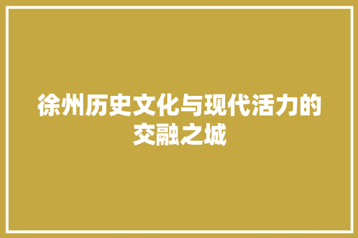 徐州历史文化与现代活力的交融之城 徐州历史文化与现代活力的交融之城