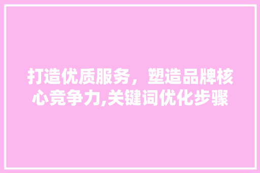 打造优质服务，塑造品牌核心竞争力,关键词优化步骤探析